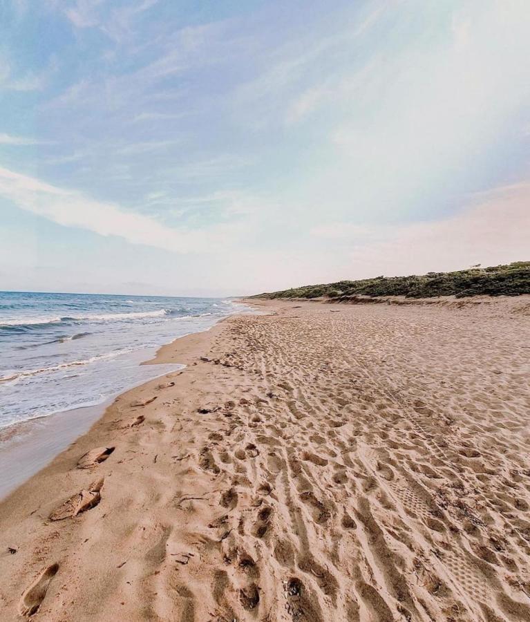 Residence Solalto San Vincenzo Dış mekan fotoğraf