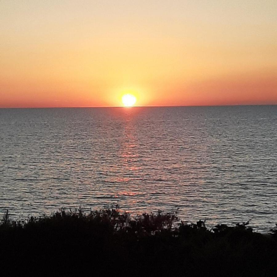 Residence Solalto San Vincenzo Dış mekan fotoğraf