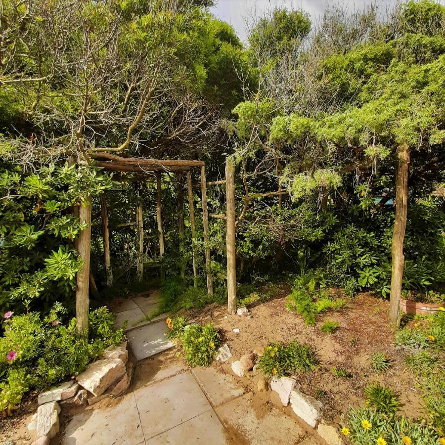 Residence Solalto San Vincenzo Dış mekan fotoğraf
