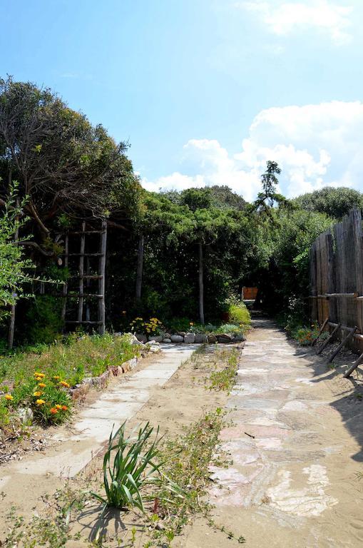 Residence Solalto San Vincenzo Dış mekan fotoğraf