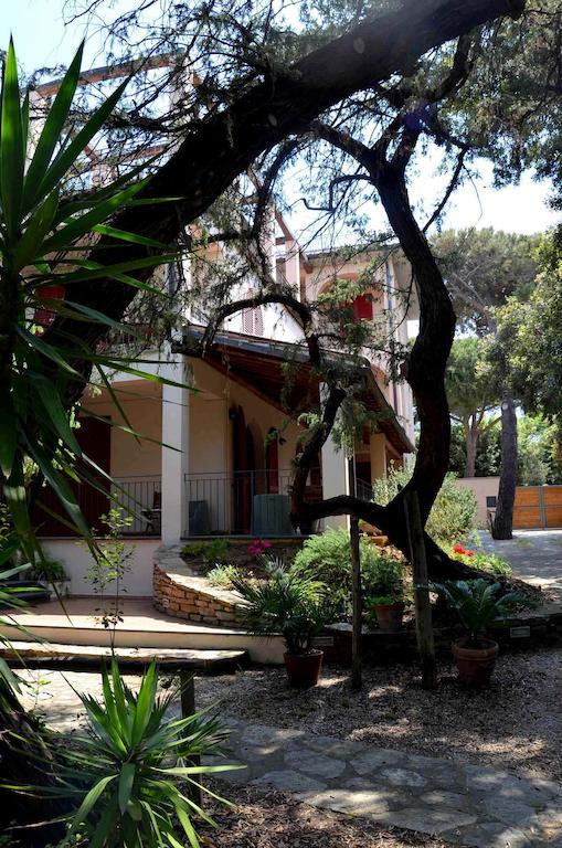 Residence Solalto San Vincenzo Dış mekan fotoğraf